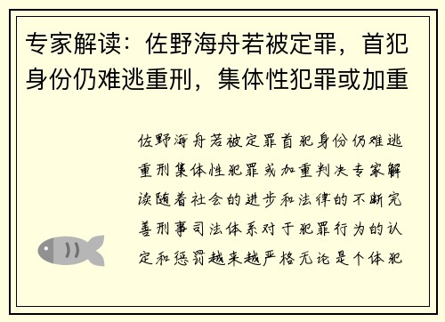 专家解读：佐野海舟若被定罪，首犯身份仍难逃重刑，集体性犯罪或加重判决